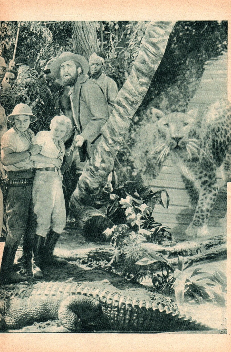 Jungle Mystery Film Kurier Jungle Mystery Film Kurier